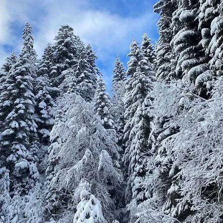 4 Personnes Avec Parking Appartement