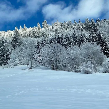 Apartment 4 Personnes Avec Parking Vionnaz