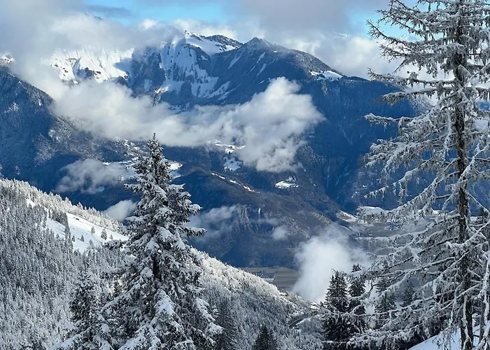 4 Personnes Avec Parking Апартаменты Vionnaz