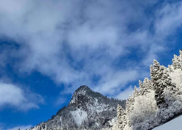 4 Personnes Avec Parking Vionnaz