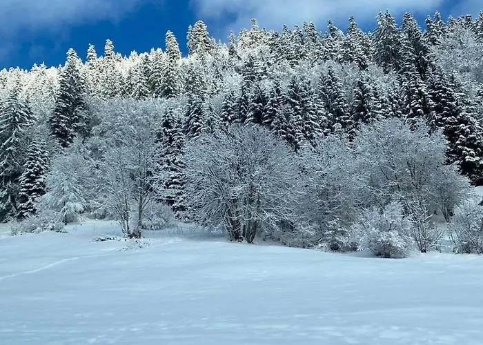 Апартаменты 4 Personnes Avec Parking Vionnaz